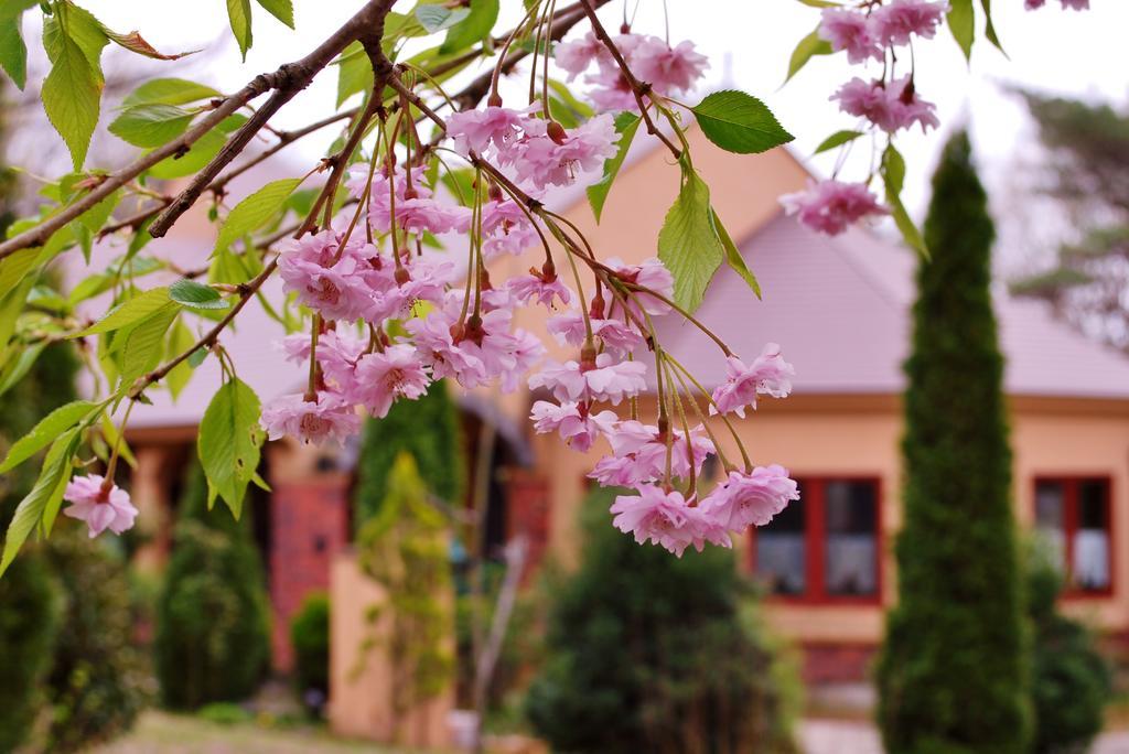 Aromatic Garden Villa La Poltrona Nasu Buitenkant foto