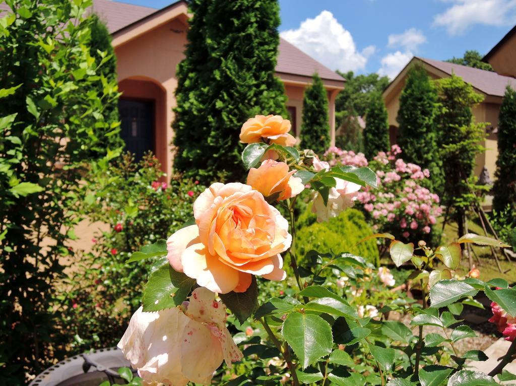 Aromatic Garden Villa La Poltrona Nasu Buitenkant foto