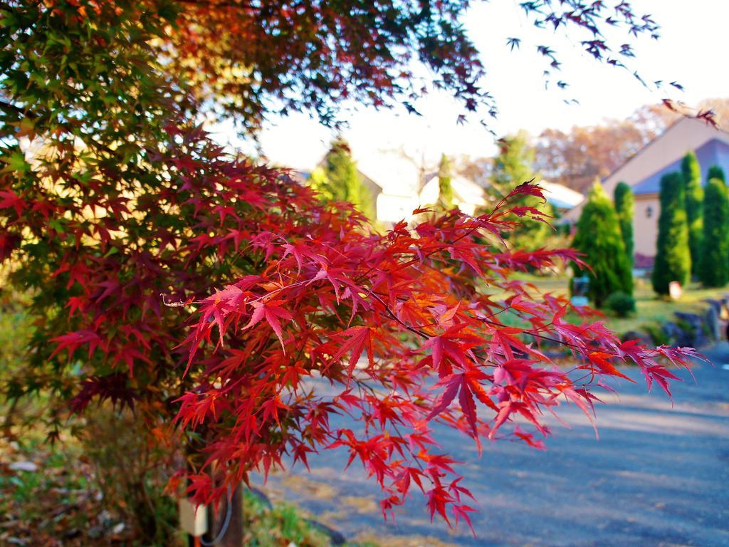 Aromatic Garden Villa La Poltrona Nasu Buitenkant foto
