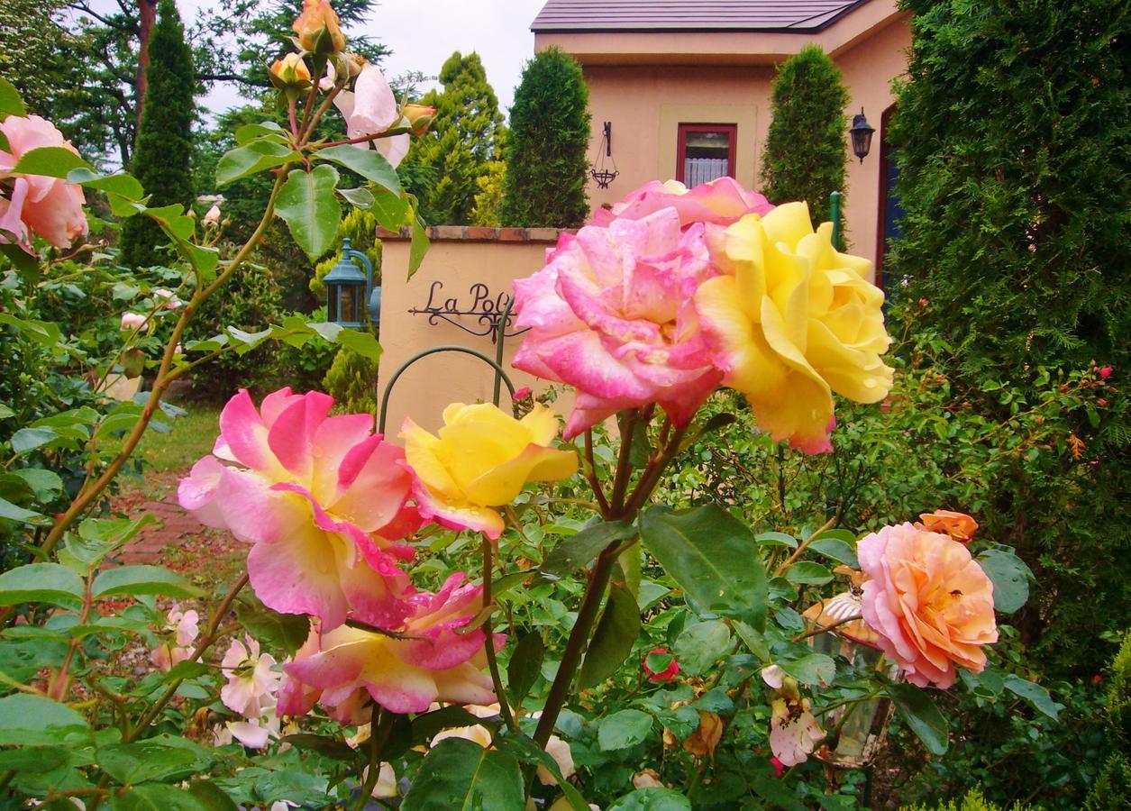 Aromatic Garden Villa La Poltrona Nasu Buitenkant foto