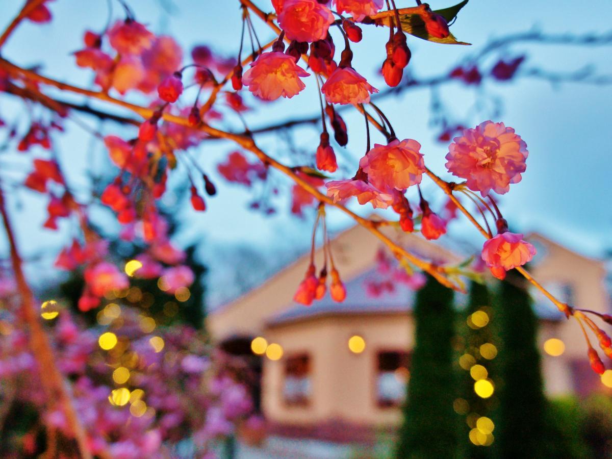Aromatic Garden Villa La Poltrona Nasu Buitenkant foto