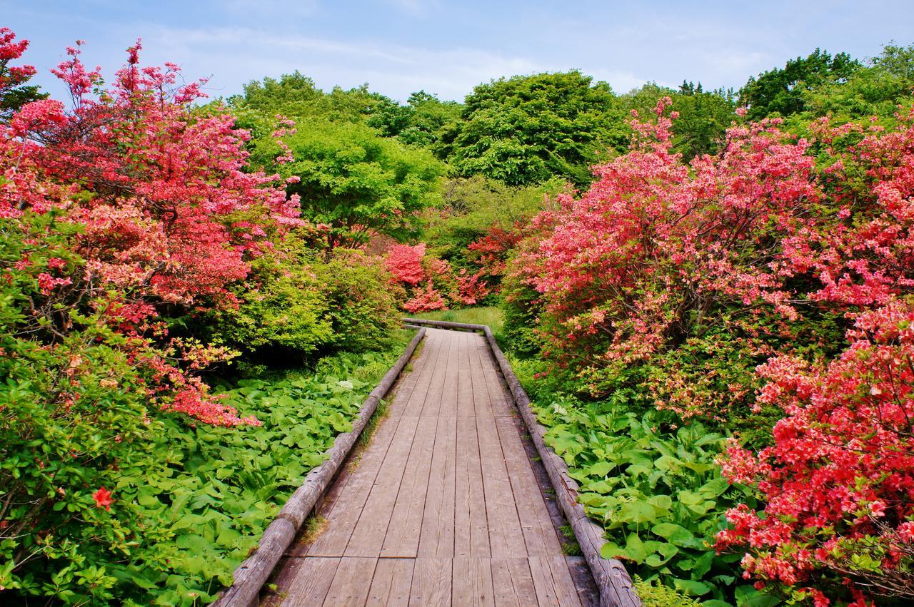 Aromatic Garden Villa La Poltrona Nasu Buitenkant foto