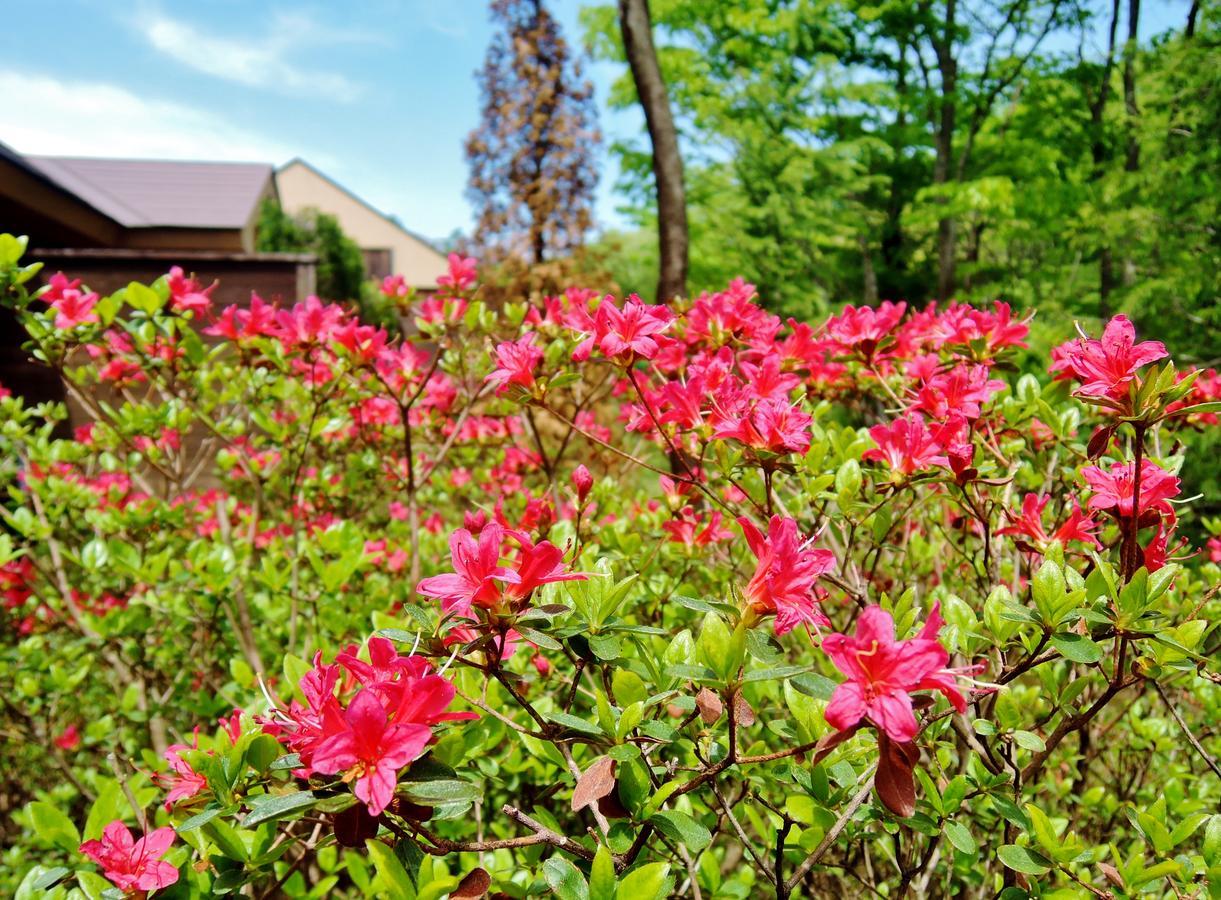 Aromatic Garden Villa La Poltrona Nasu Buitenkant foto