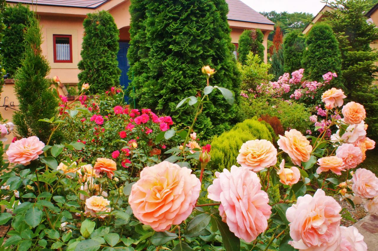 Aromatic Garden Villa La Poltrona Nasu Buitenkant foto